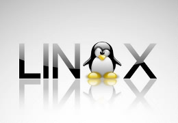 Mini Android PC - Linux