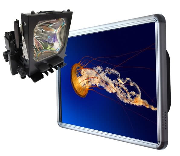Touch Screen lower cost than Projector Lamp